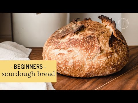 In my sourdough era cover photo collage