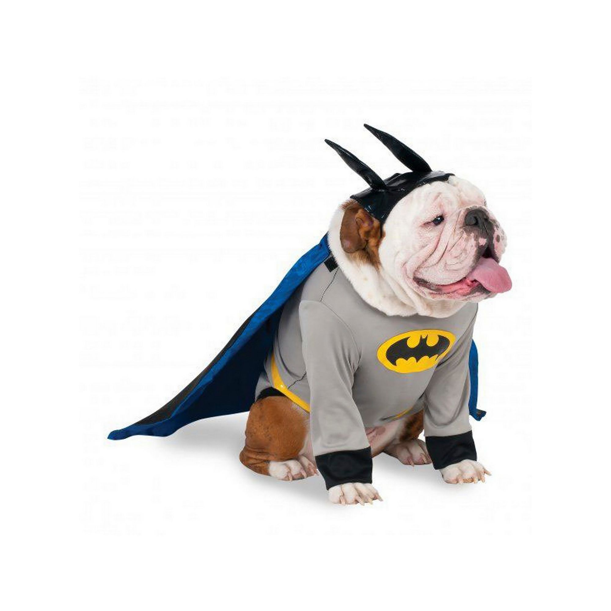 The Cutest Halloween Costumes for your Dog cover photo collage