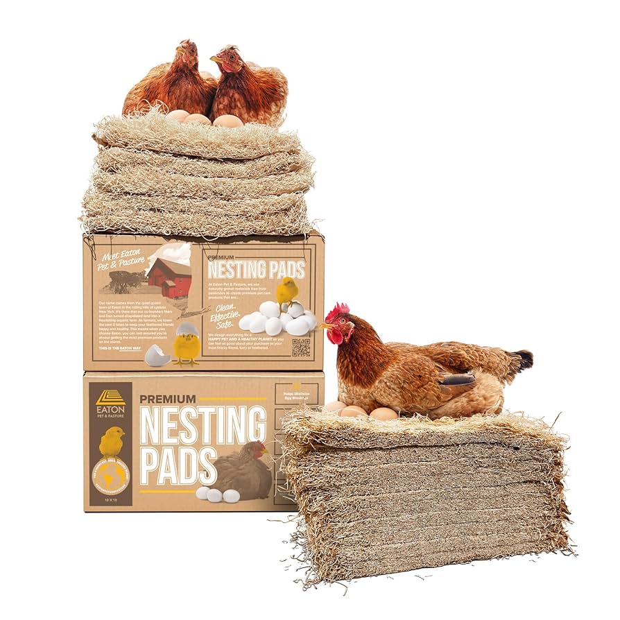 Backyard Chicken Must Haves cover photo collage