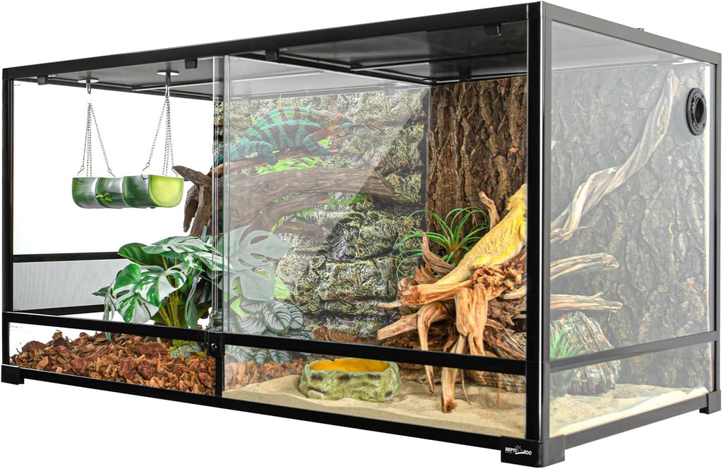 Bearded Dragon Must Haves cover photo collage