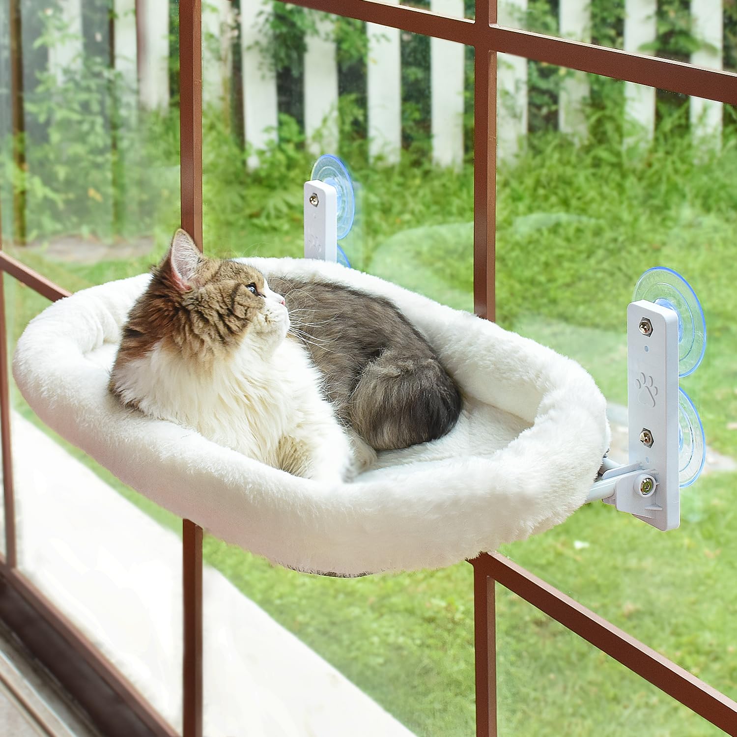 Cat Essentials by a Cat Owner of 15+ Years cover photo collage