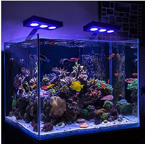 Nano Saltwater Tank on a Budget! cover photo collage