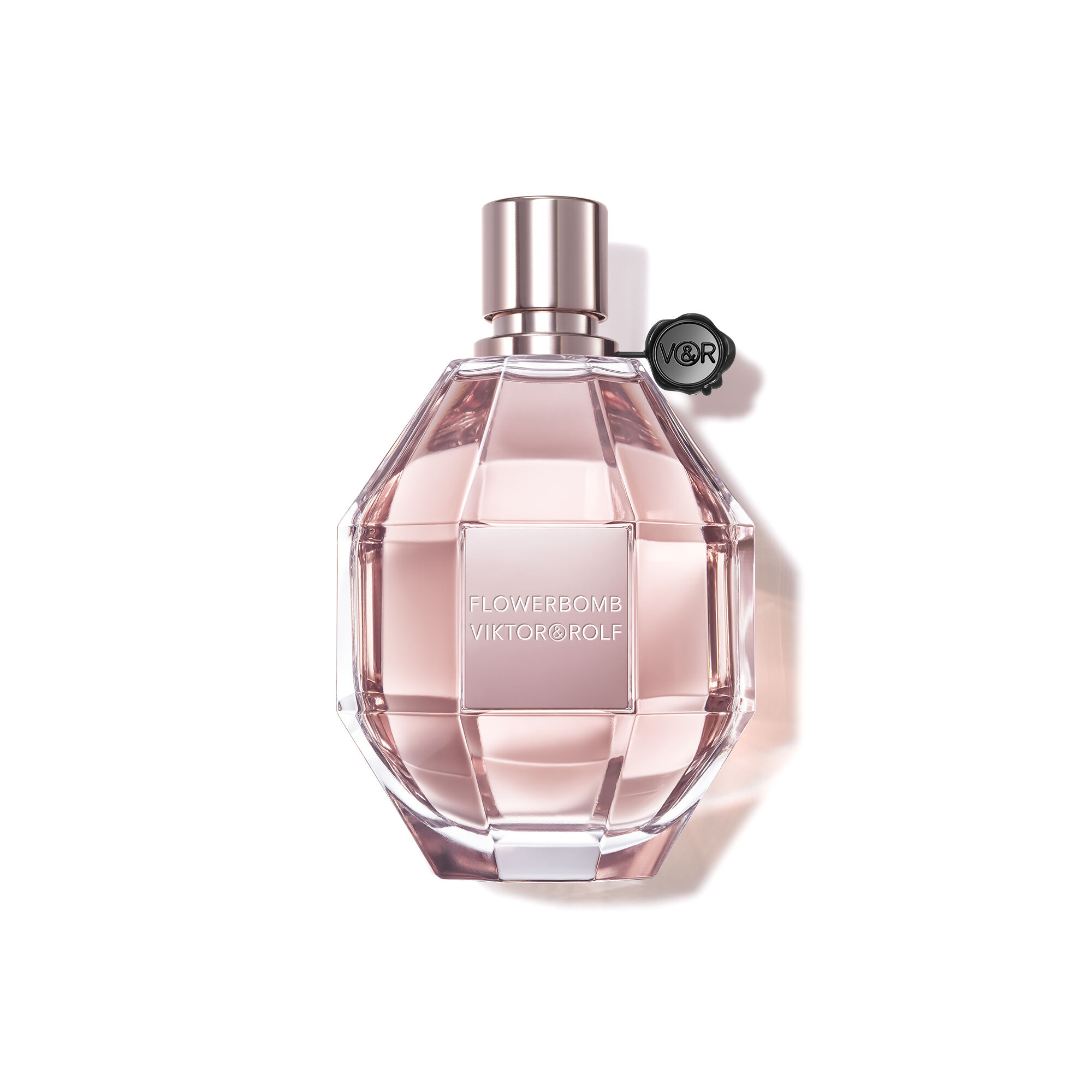 The Official Fragrances for Fall Lovers! cover photo collage
