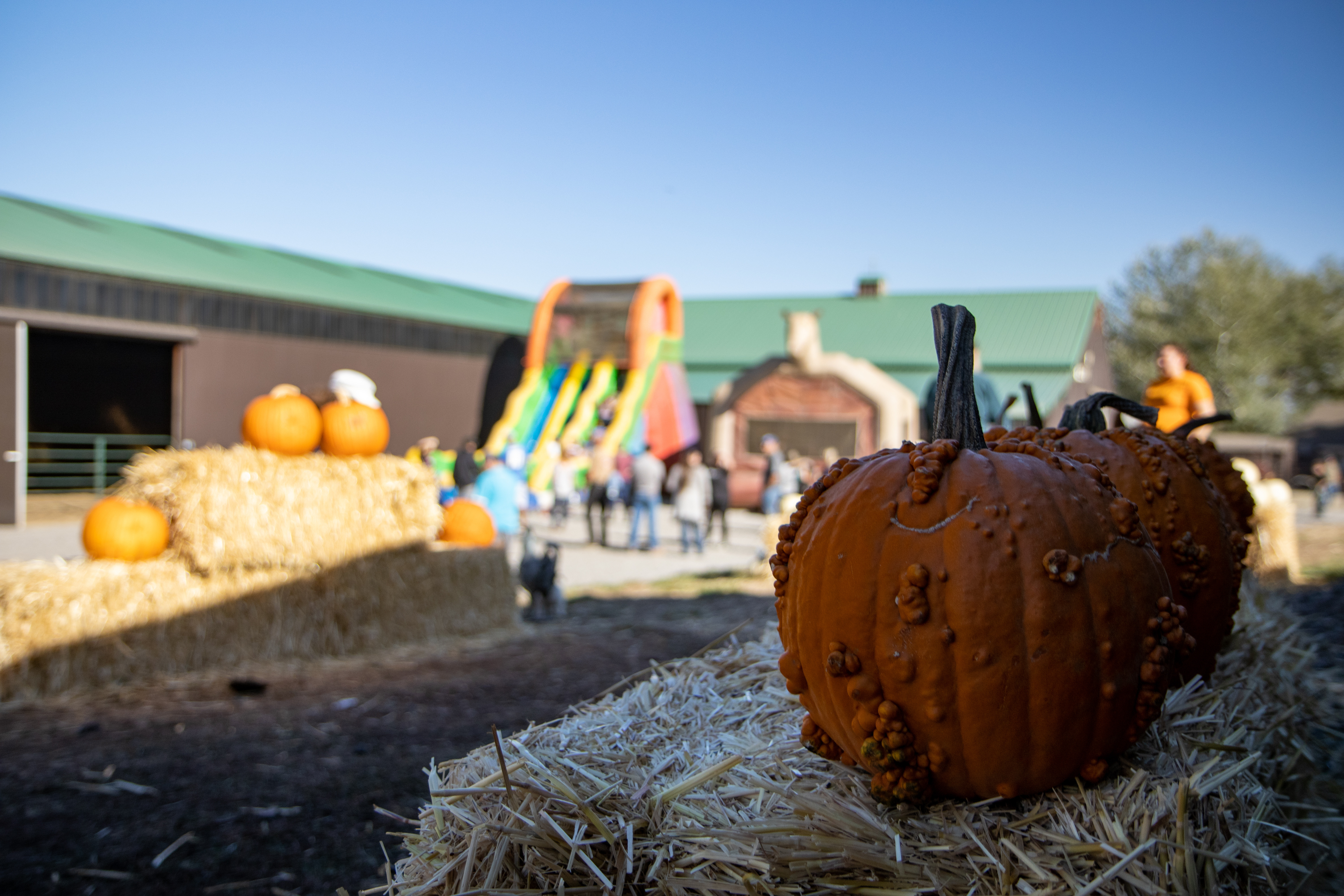 All Things Fall 🍂 cover photo collage