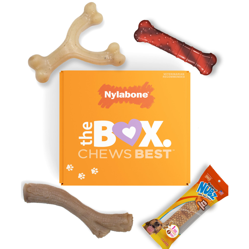 Tested Durable Dog Toys cover photo collage