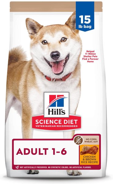 Dog Must Haves cover photo collage