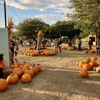 Get in the Fall Mood cover photo collage