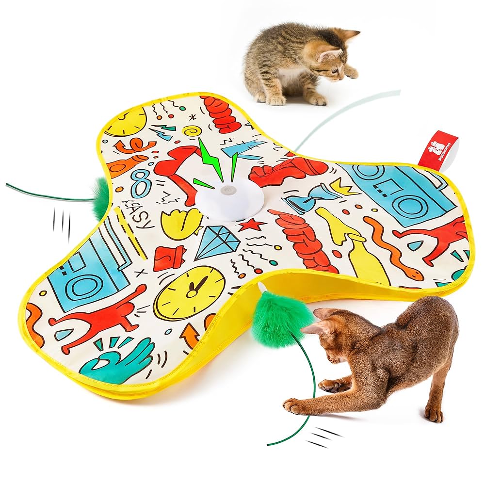 everything i've bought for my cats cover photo collage