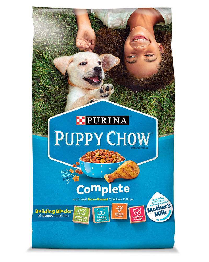 Must-have pet products cover photo collage