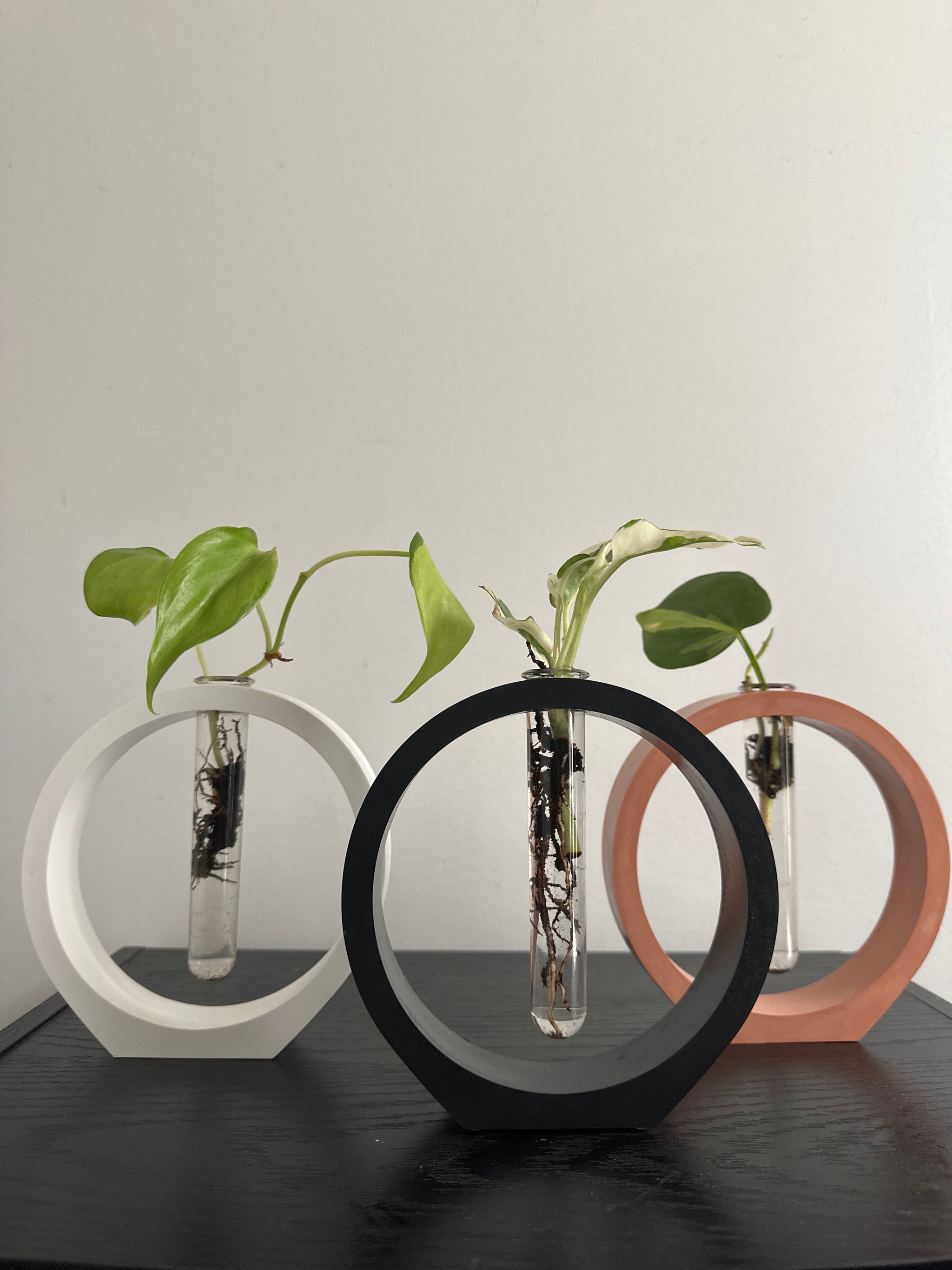 Garden and Houseplant Goals cover photo collage