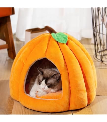 For Cat Parents cover photo collage