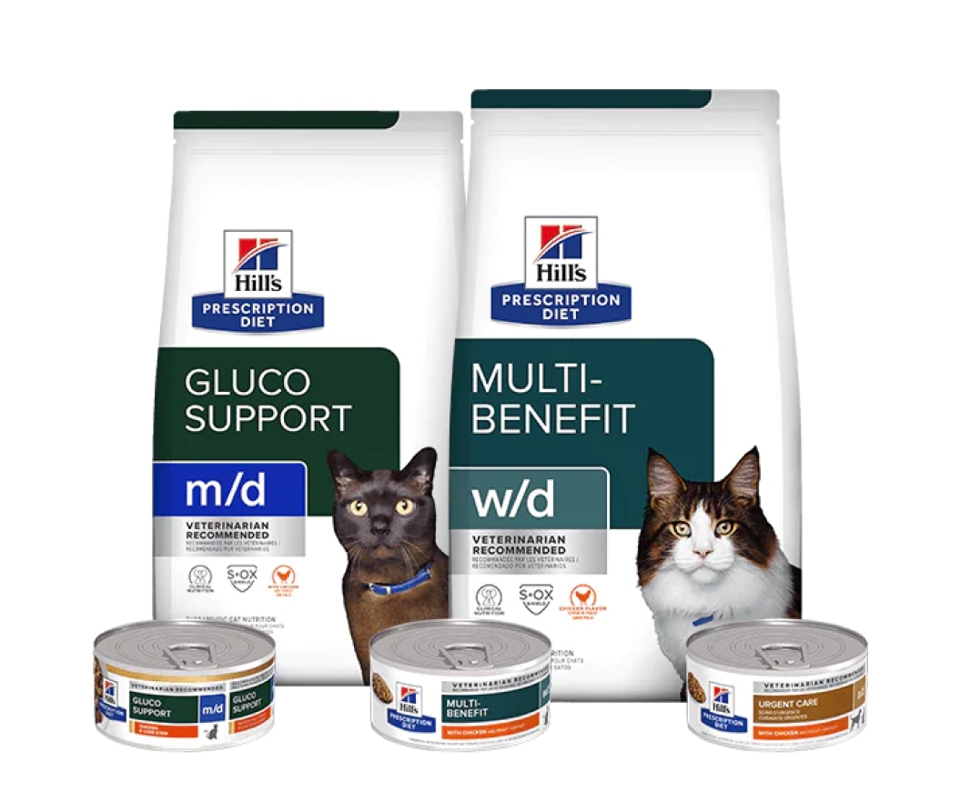 Vet recommendations for cat and dog owners cover photo collage
