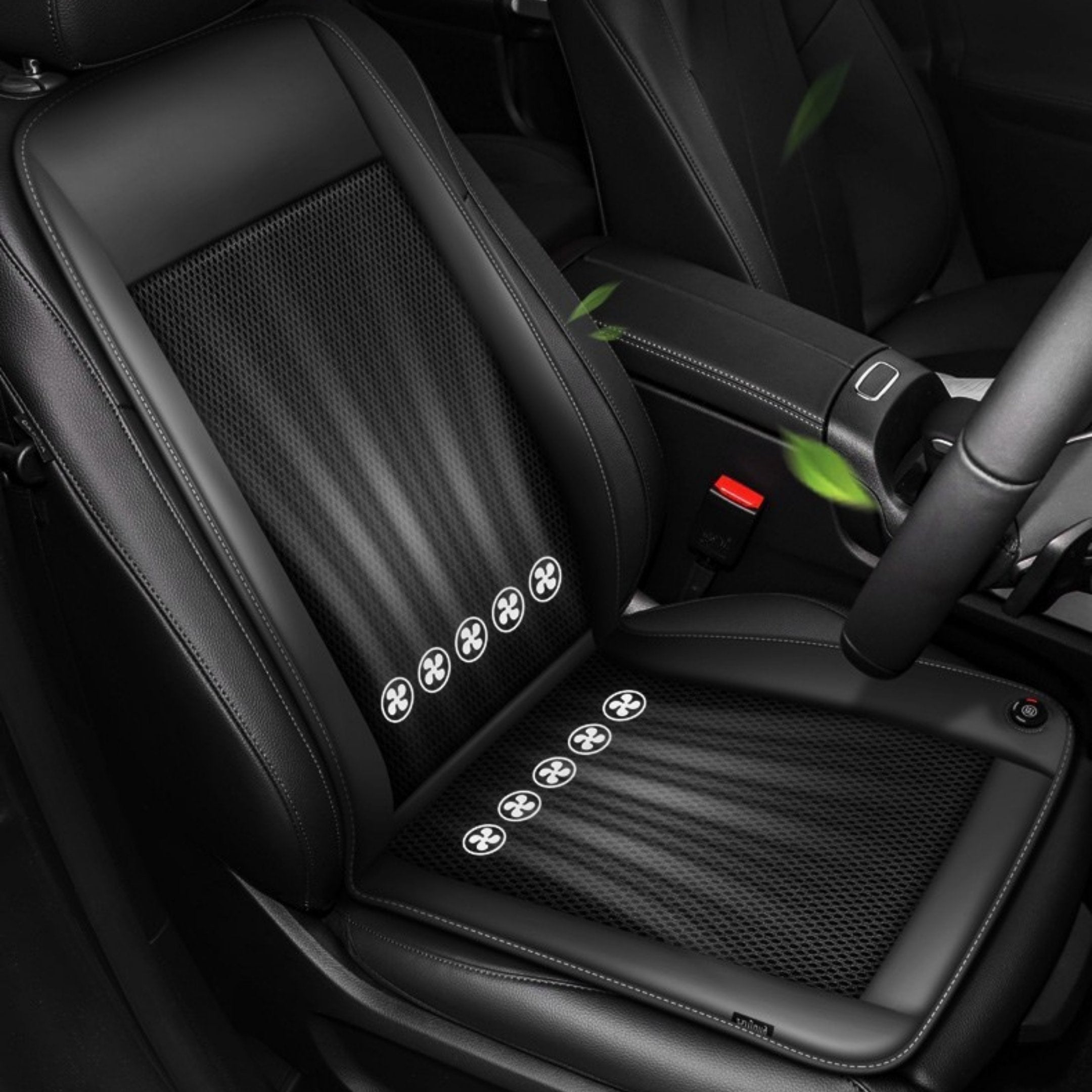 Sneak Peek into My Car cover photo collage