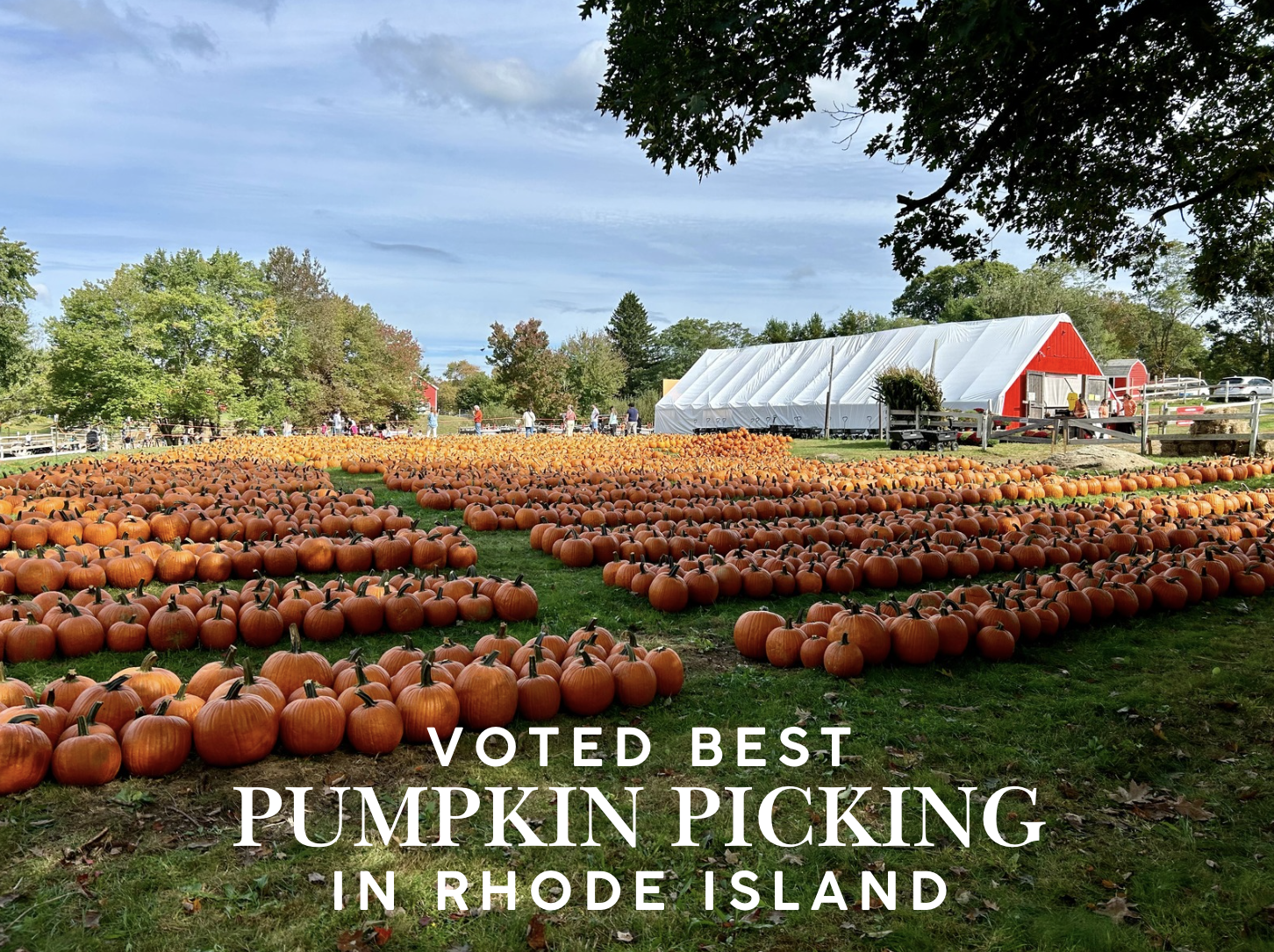 We're going on a pumpkin hunt! cover photo collage