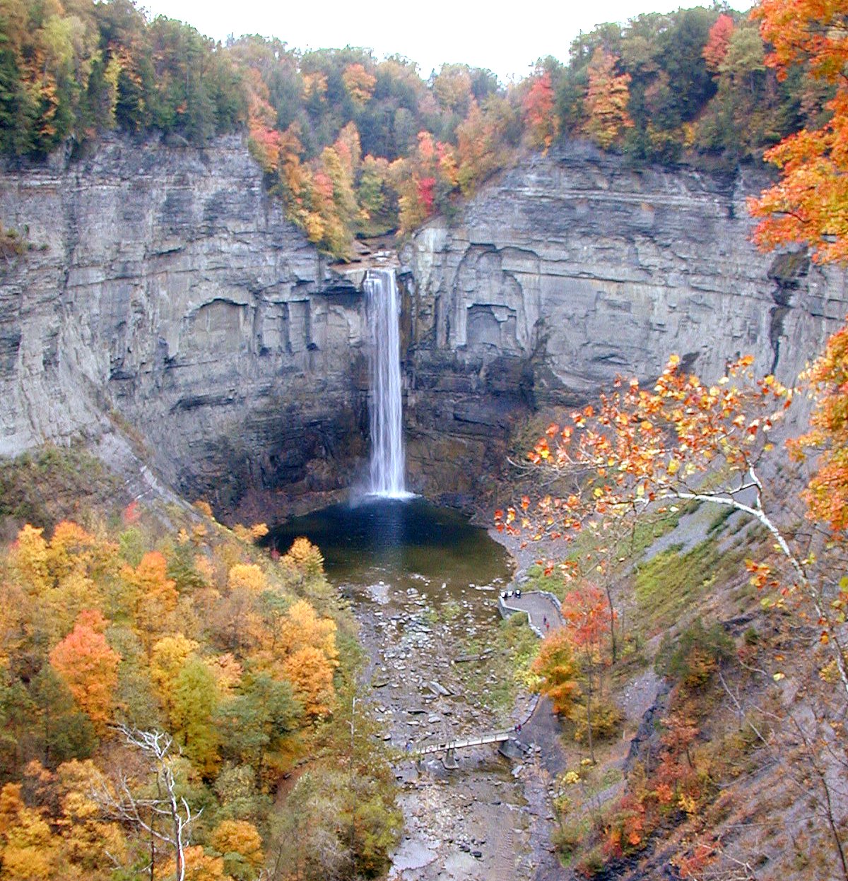 🌠 NY Finger Lakes Region must - do, drink, visit, eat🌠 cover photo collage