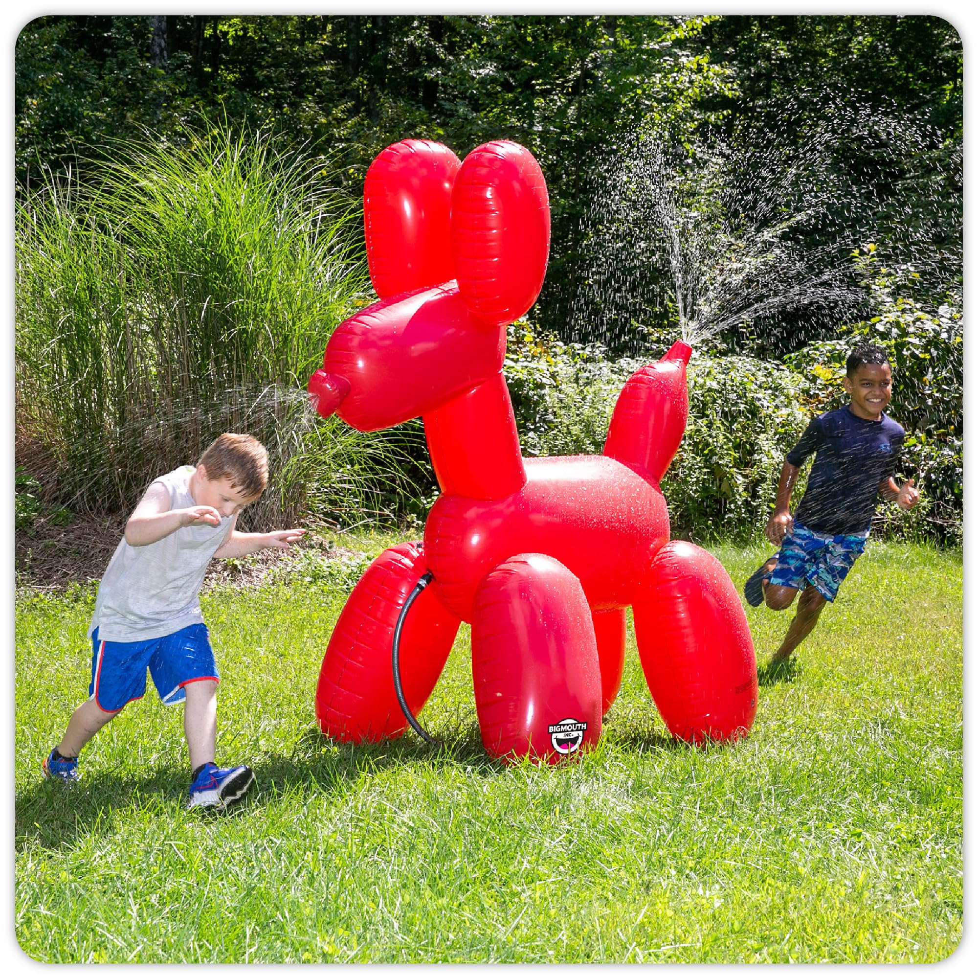 Fun Balloon Dog Party Ideas! cover photo collage