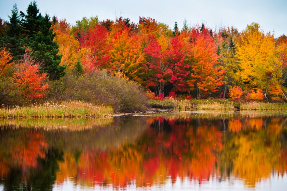 All Things Fall - My Favorite Ways To Enjoy The Season cover photo collage