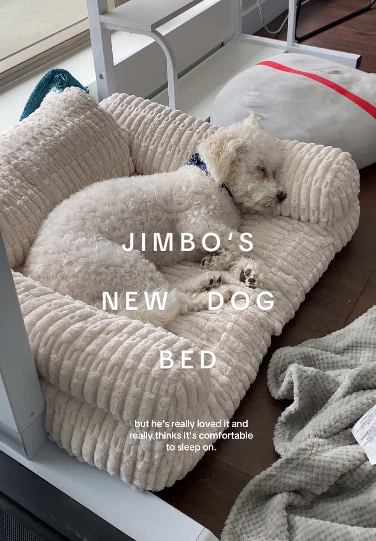 Dog Essentials that Jimbo Loves cover photo collage