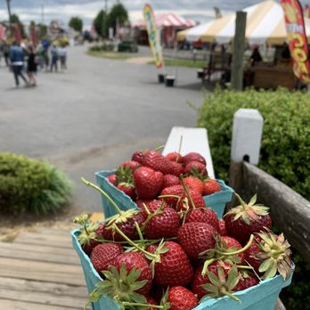 Fall fun in NJ cover photo collage