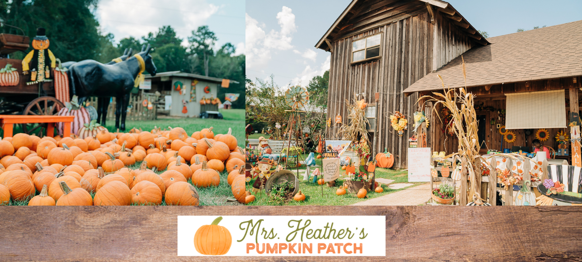 All things fall cover photo collage