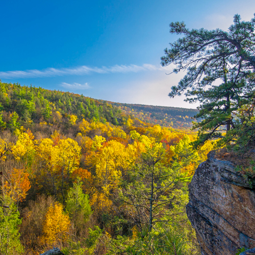 The Ultimate Fall Bucket List: Ways to Savor Autumn’s Magic 🍂🍁 cover photo collage