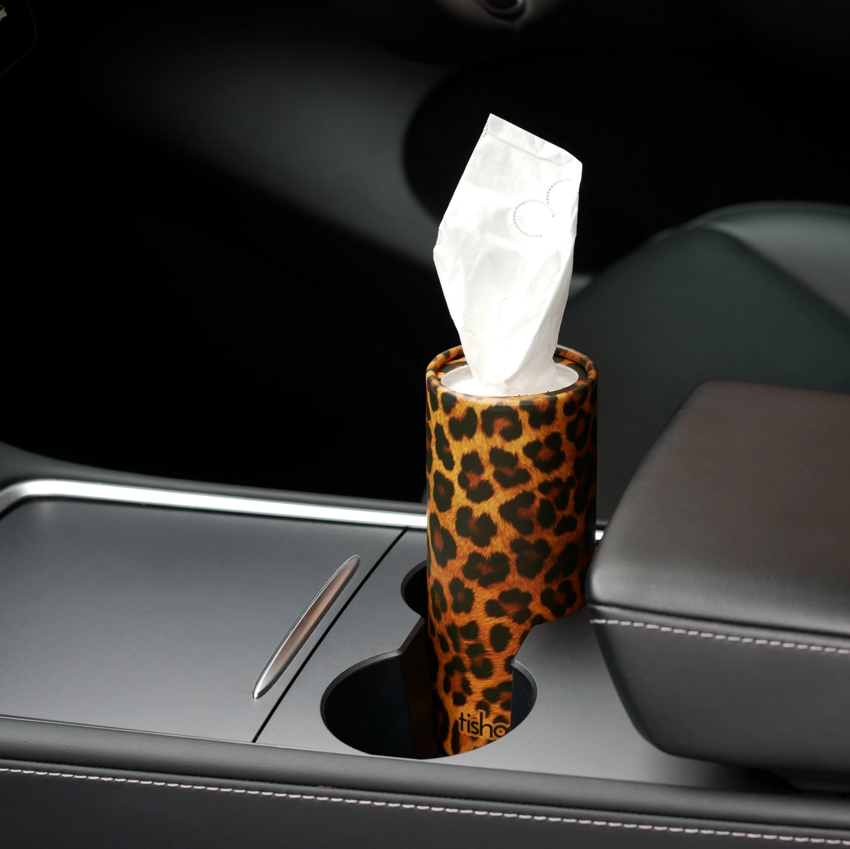 The Essentials (and the Questionable): What My Car Hides cover photo collage