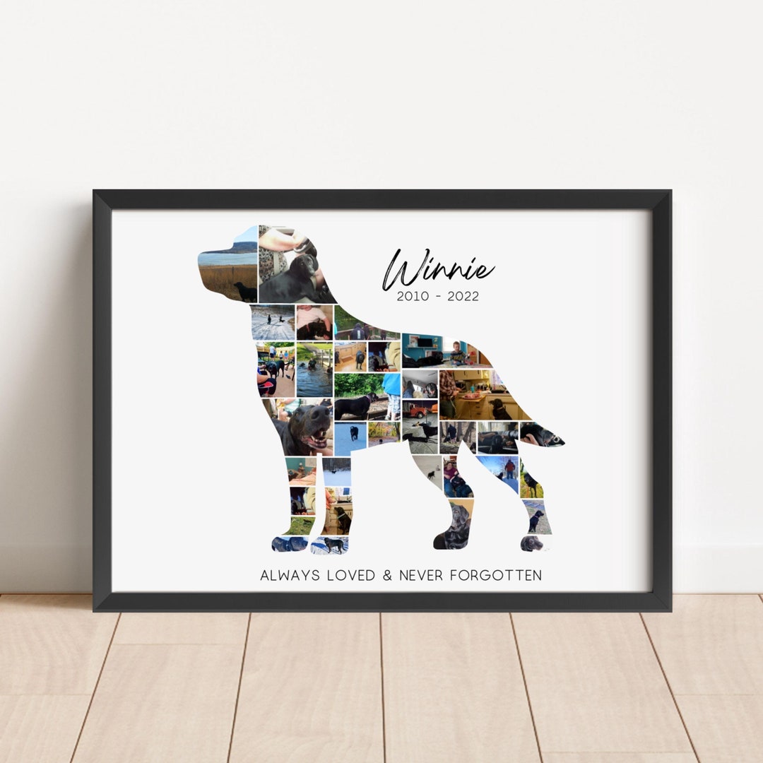 Pet Memorials cover photo collage