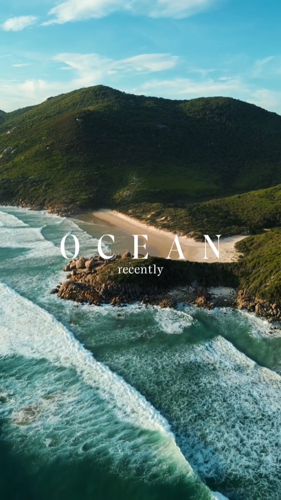 Capcut Magic! ✨🎥 Explore My Creations and Get Inspired! cover photo collage