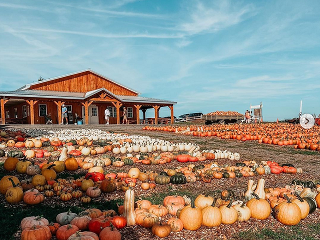 Things to do FALL edition 🍁 | Upstate NY cover photo collage