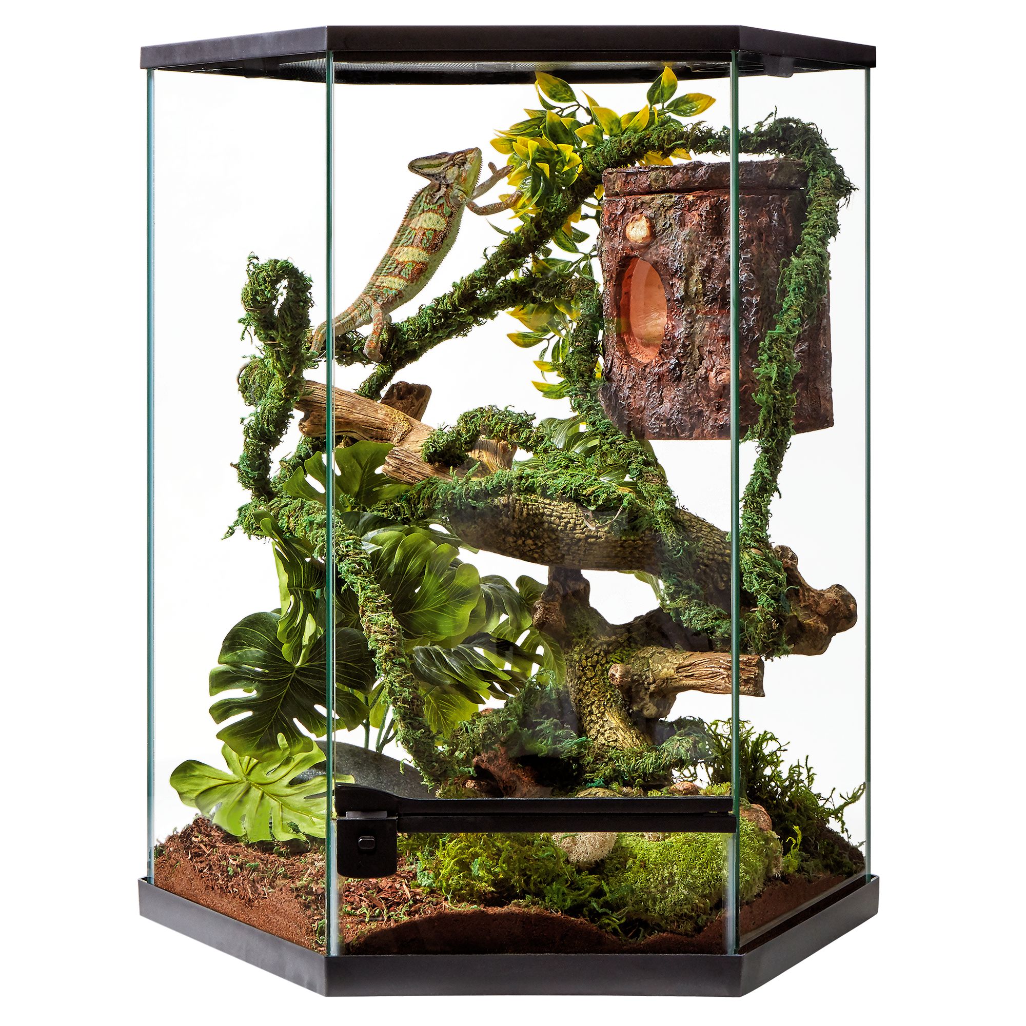 Crested Gecko Tank SetUp! cover photo collage