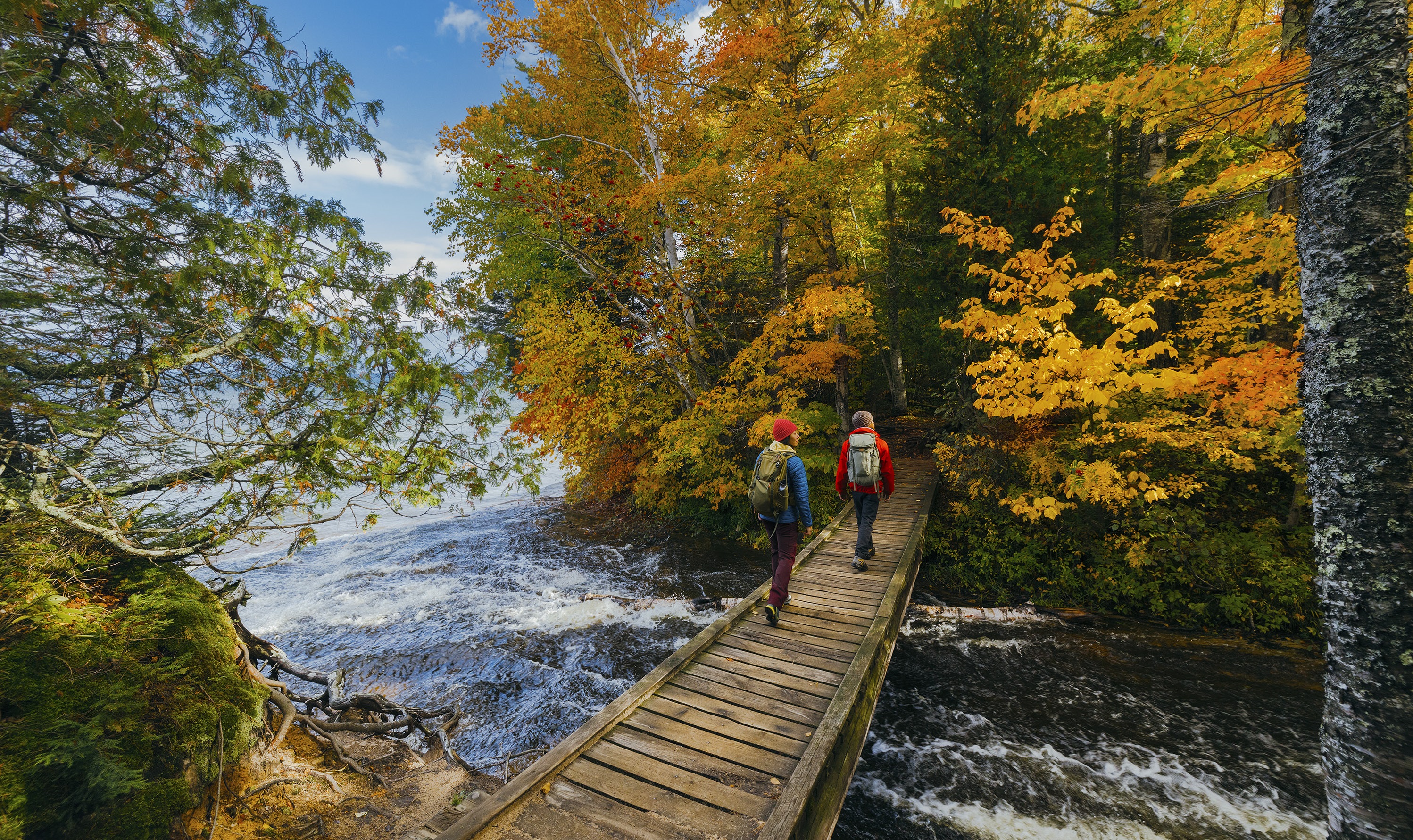 All things Fall 🍁🍎 cover photo collage
