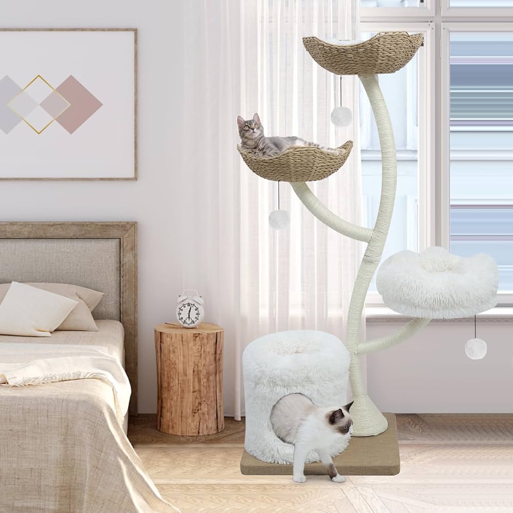 Cat Essentials cover photo collage