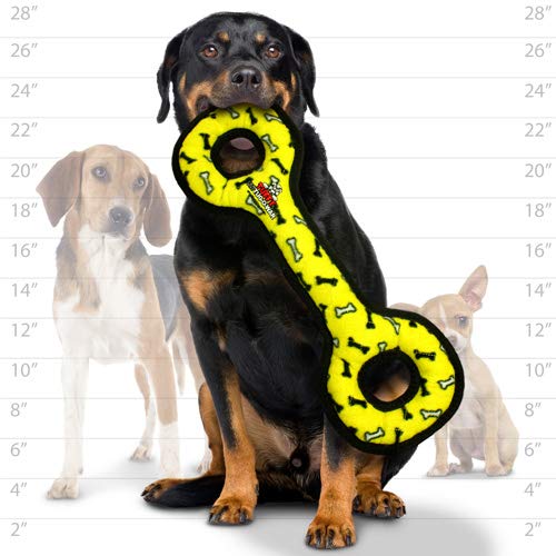 Dog Owner Must Haves cover photo collage