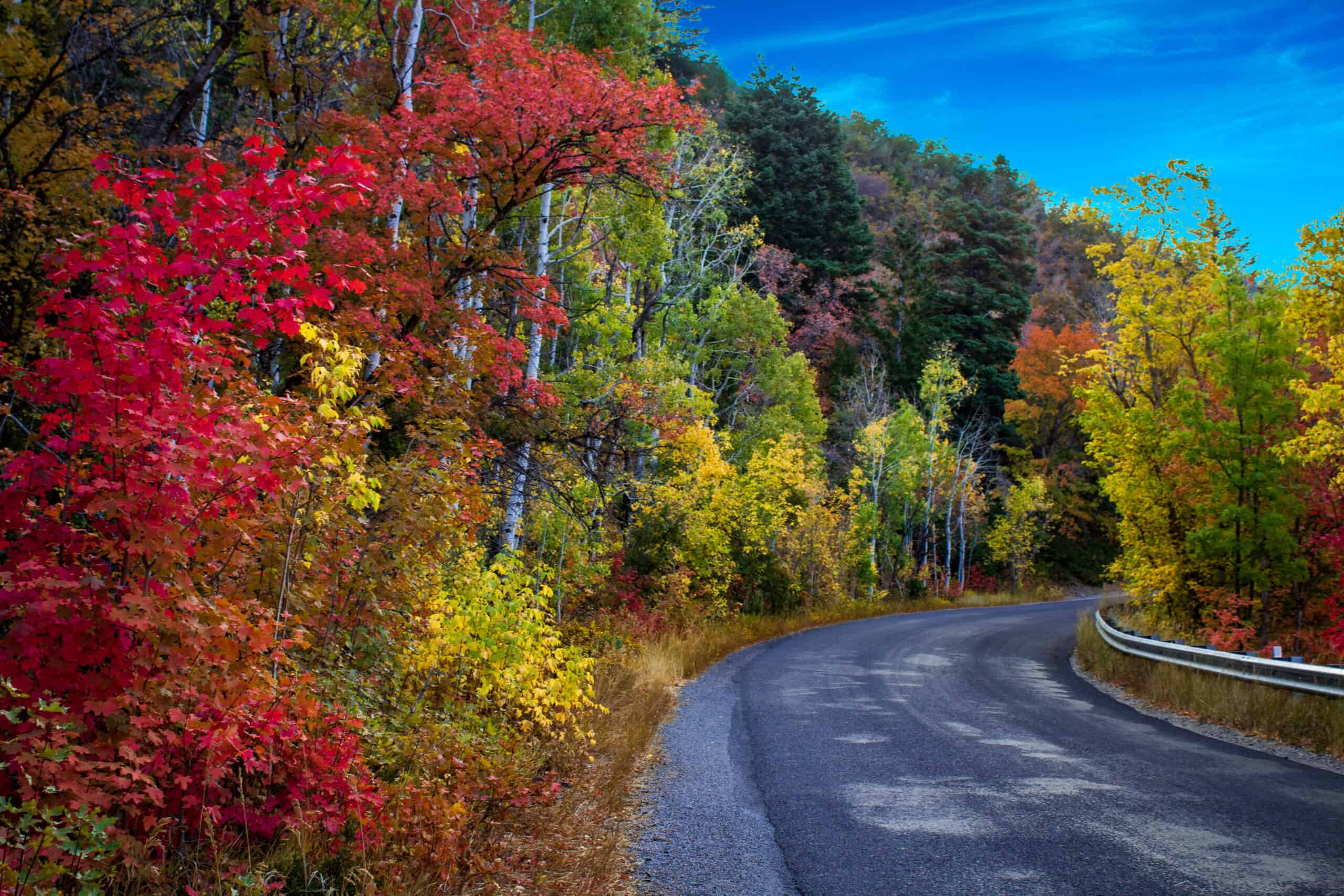 All Things Fall! cover photo collage