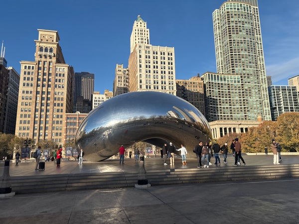 Top recs for a design and Latine forward Chicago visit cover photo collage