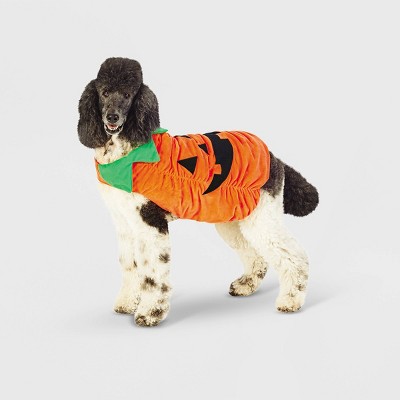 Halloween clothes & accessories for you & your pets cover photo collage