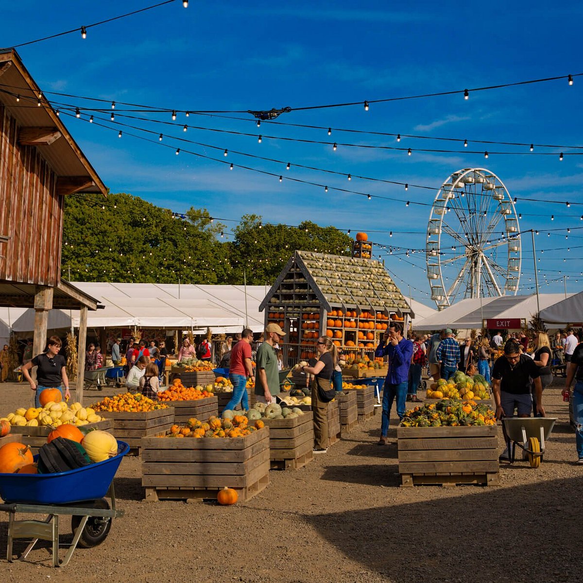 All Things Fall 🍁 what to do, what to wear & where to eat cover photo collage