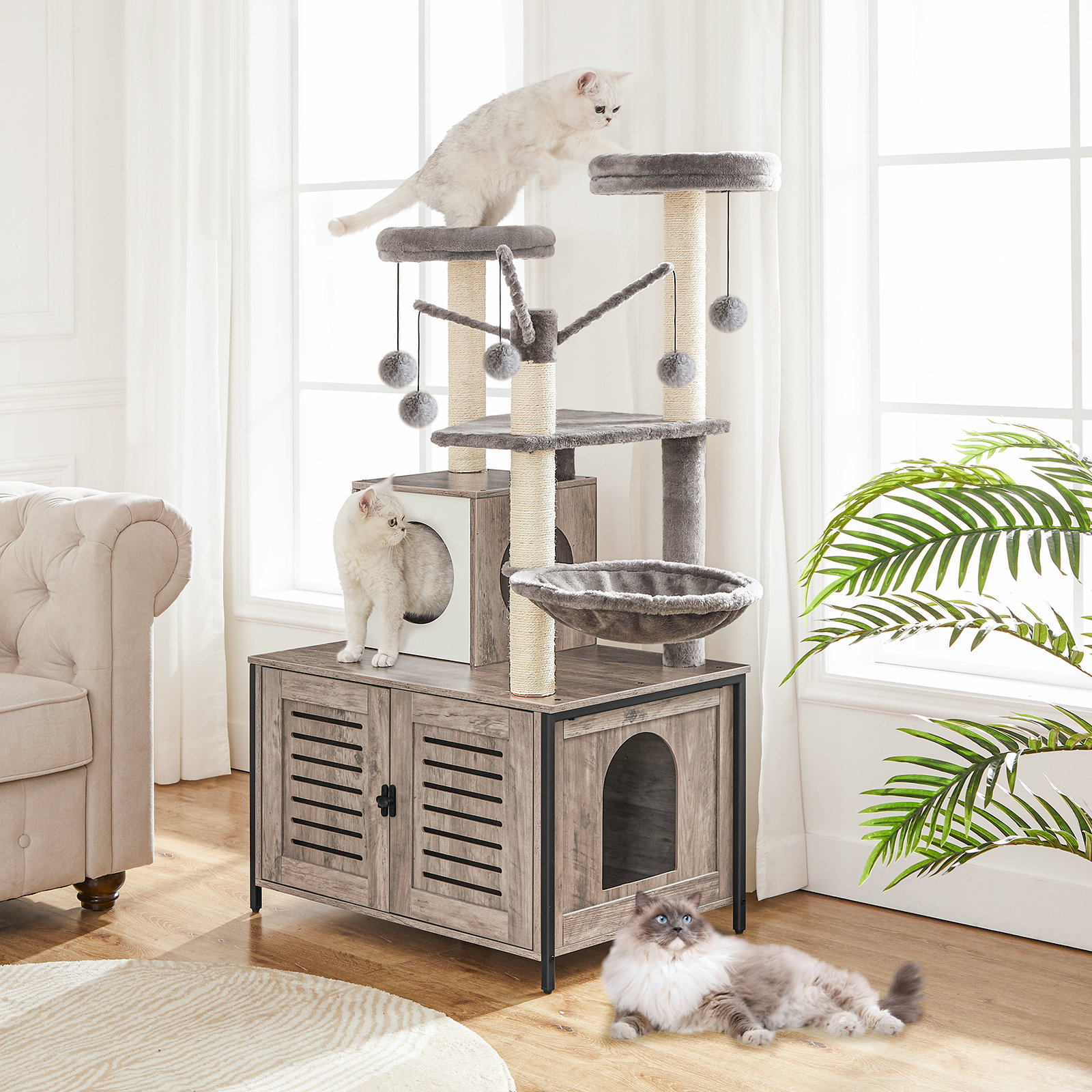 Elevate Your Cat's Lifestyle cover photo collage