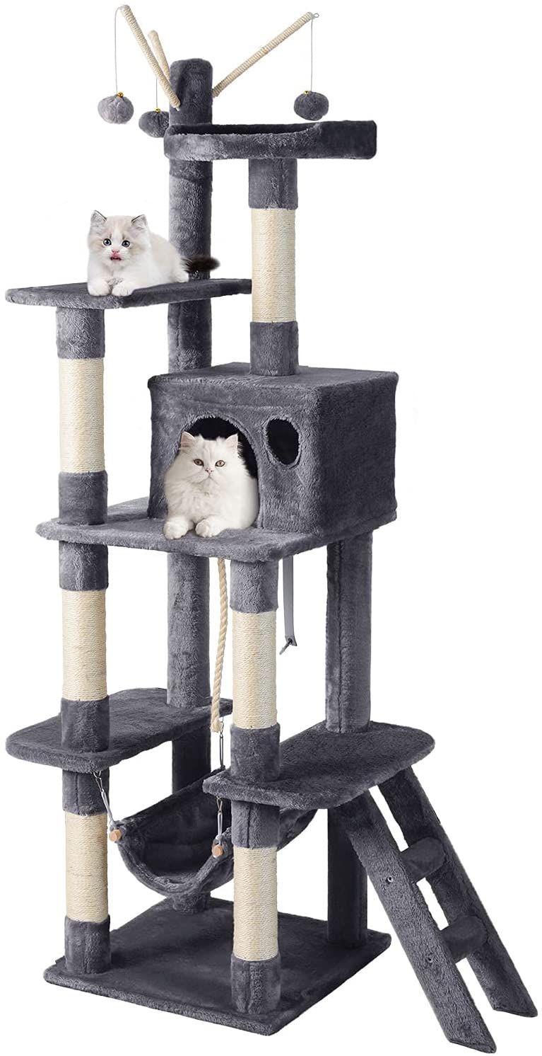 Ultimate Low-Maintenance Cat Care Guide for Folks On The Go cover photo collage