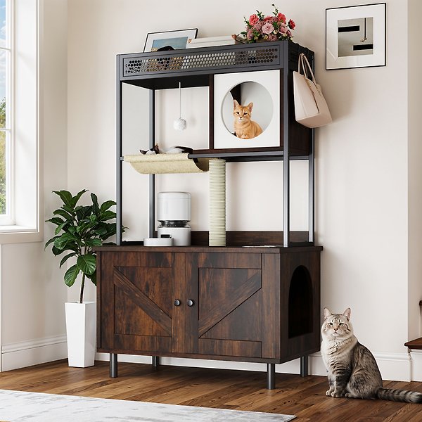 Luxe Items for Spoiled Cats cover photo collage