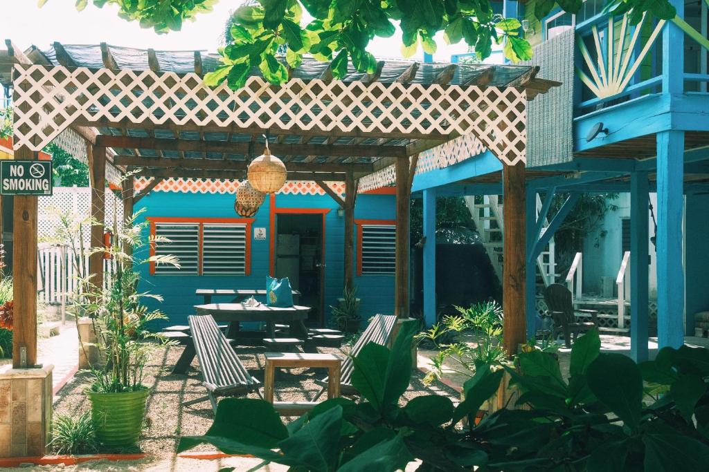 Caye Caulker recommendations cover photo collage