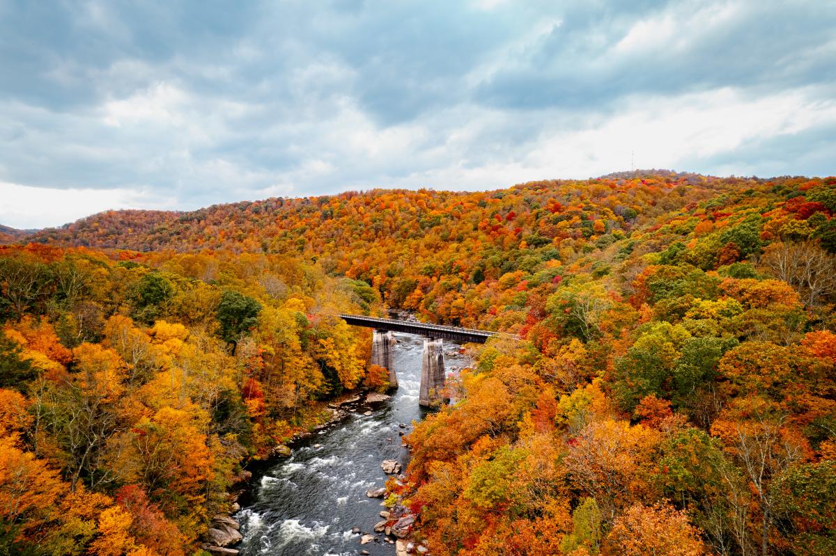 Best Things to do in the Fall around the United States cover photo collage