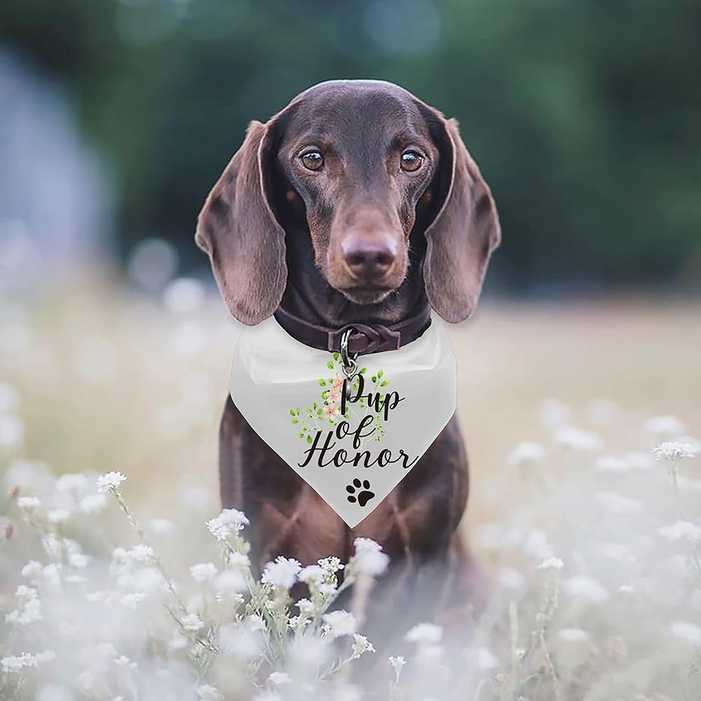 🐶 The Ultimate Guide to Including Your Dog in Your Wedding 💍 cover photo collage