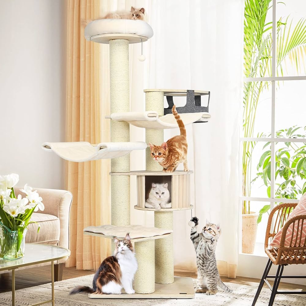 🐾 Pet-Friendly Home ✨ cover photo collage