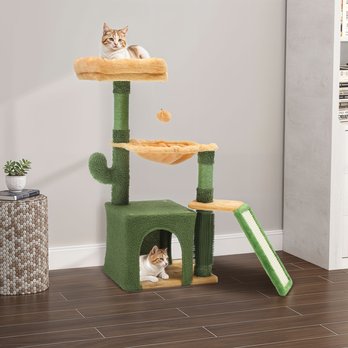 Cat Essentials cover photo collage