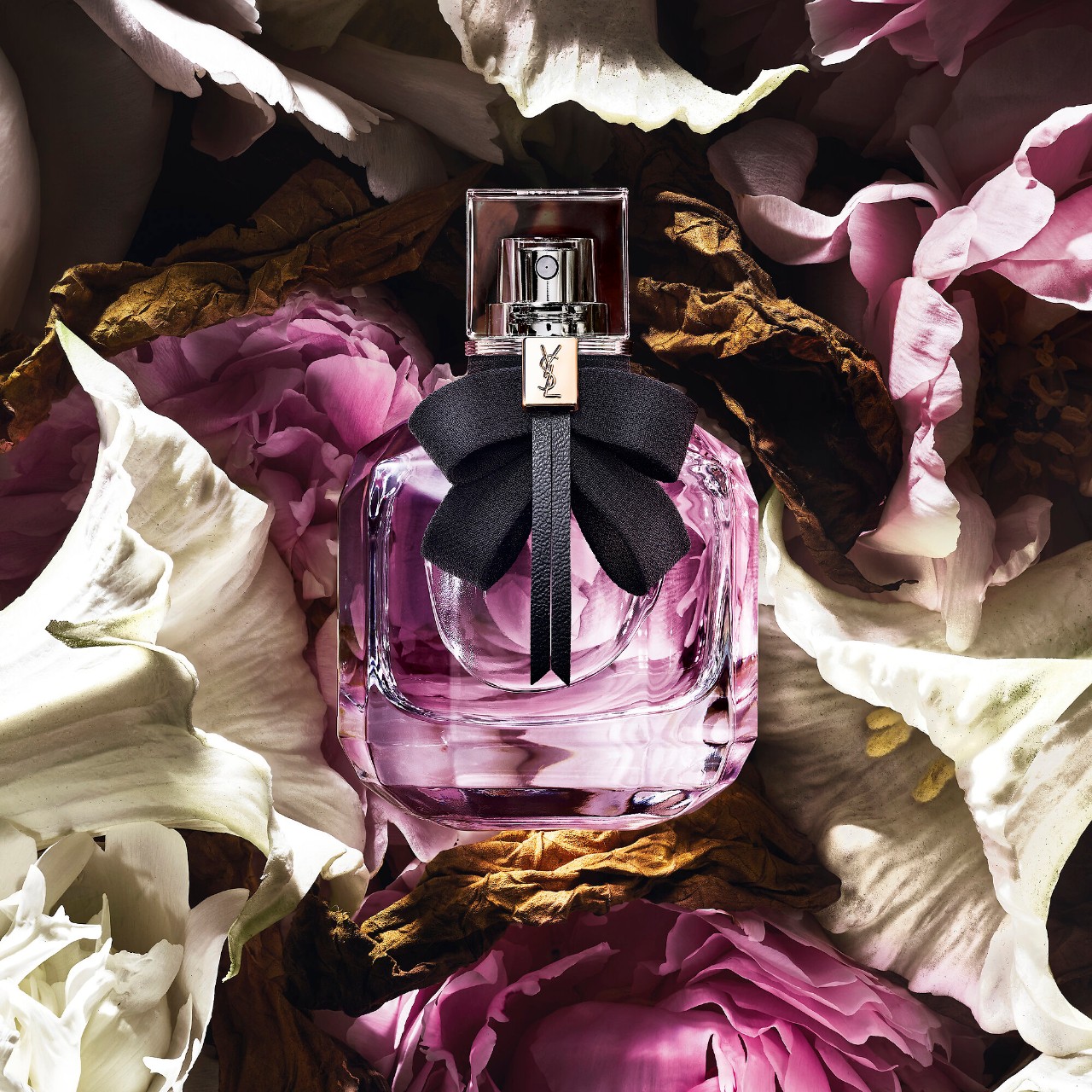 Perfumes that will turn heads cover photo collage