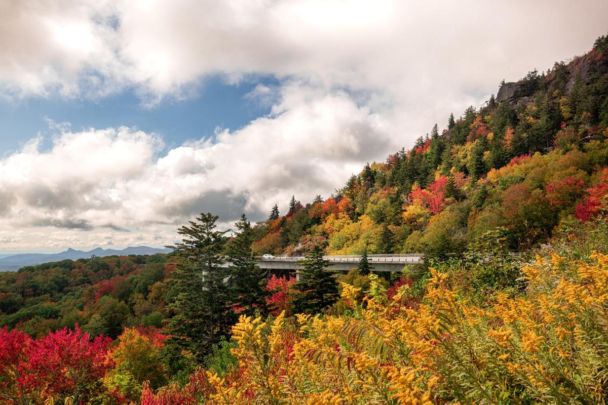 Explore Boone, NC: Best Things to See & Do 🌄 cover photo collage