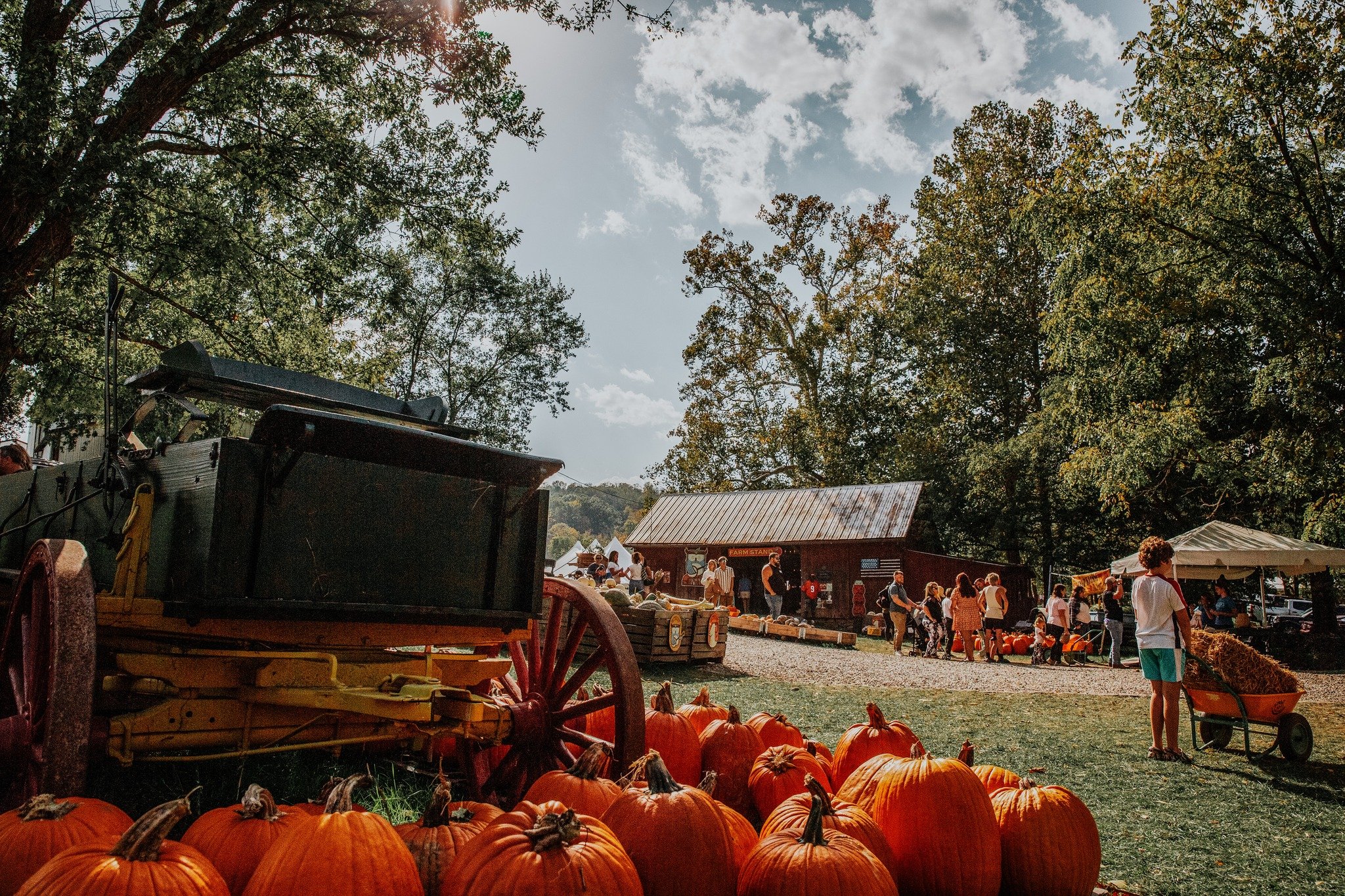Cincinnati Tri-State Area Pumpkin Patches cover photo collage