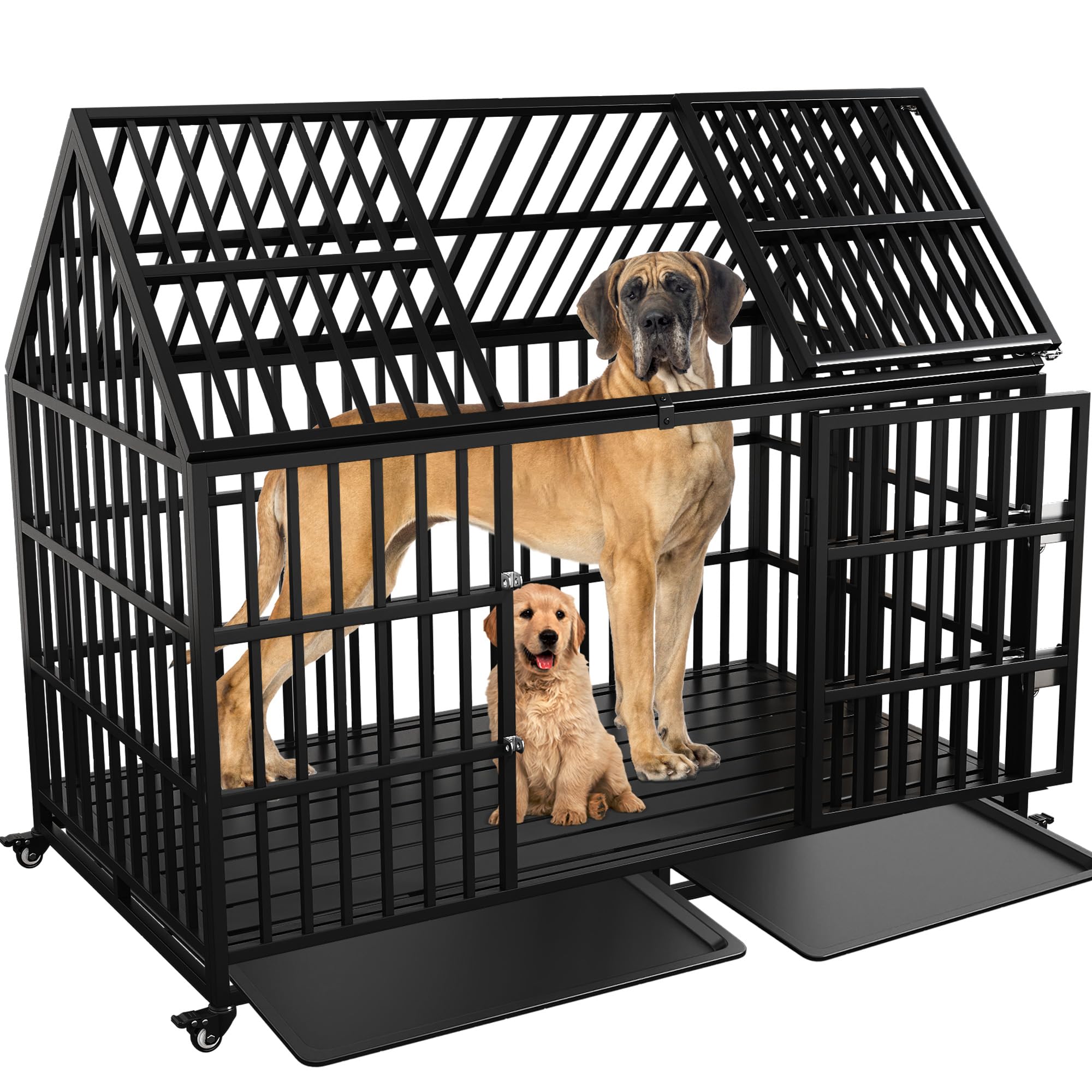 The Ultimate Dog Collection cover photo collage