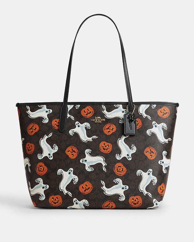 Coach fall favorites 👜 cover photo collage